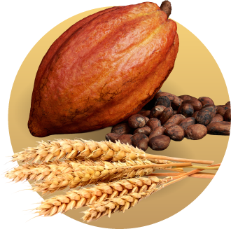 チョコレートの素材